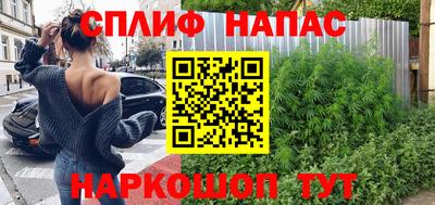 шишки Балашиха