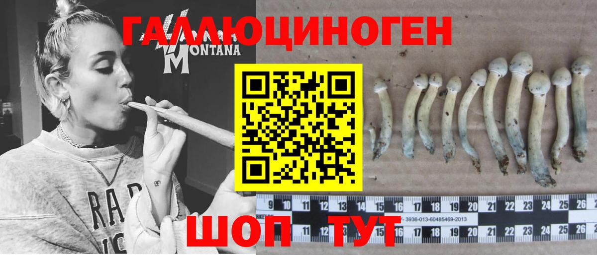 Галлюциногенные грибы мухоморы Кольчугино