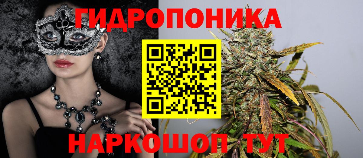 Шишки марихуана конопля Кольчугино